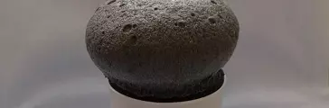 キノコの上部の泡サンプル