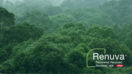 Treetops 