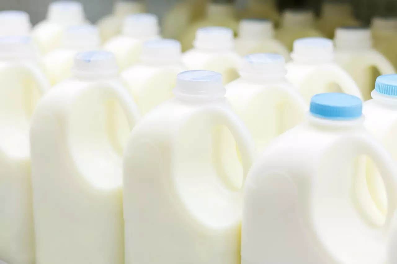 plastic milk bottles