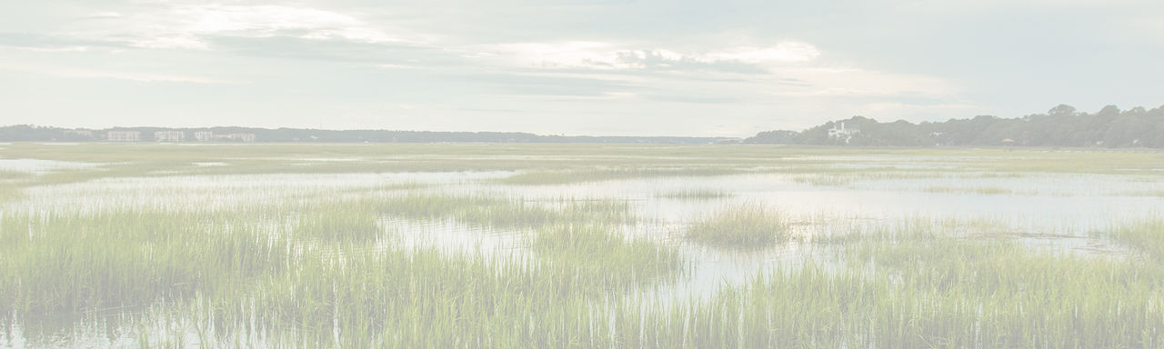 wetlands
