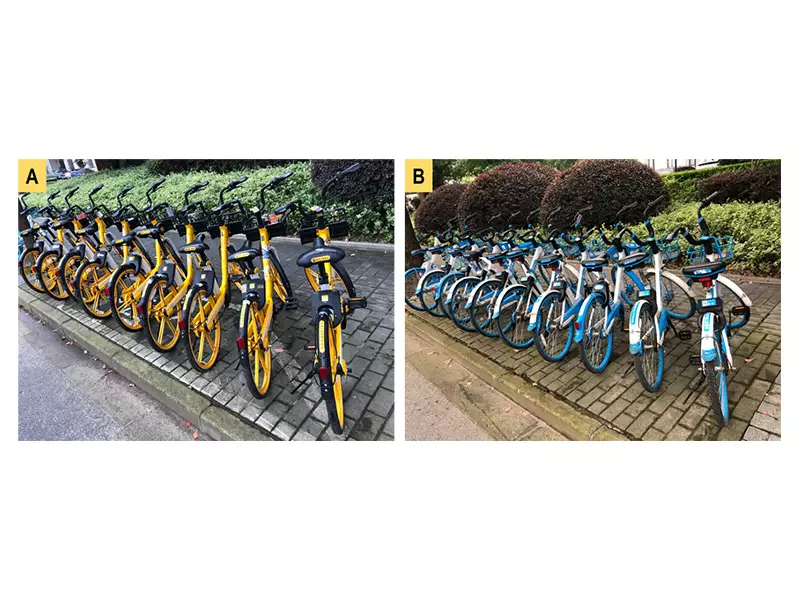 成排公共自行车
